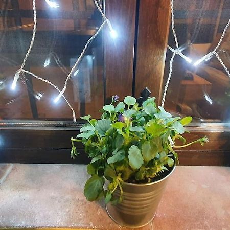 Apartamento Sefardi, Barrio Judio De 埃尔瓦 外观 照片