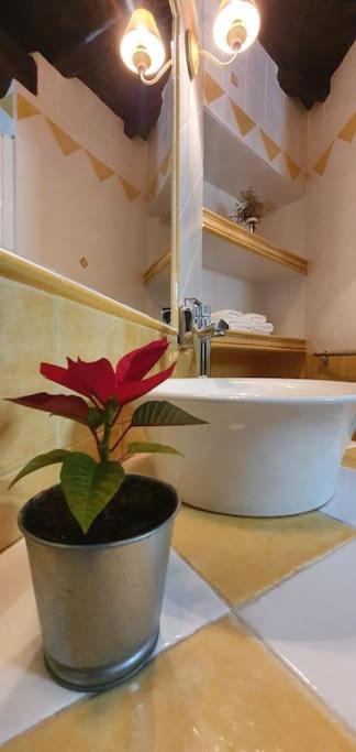 Apartamento Sefardi, Barrio Judio De 埃尔瓦 外观 照片