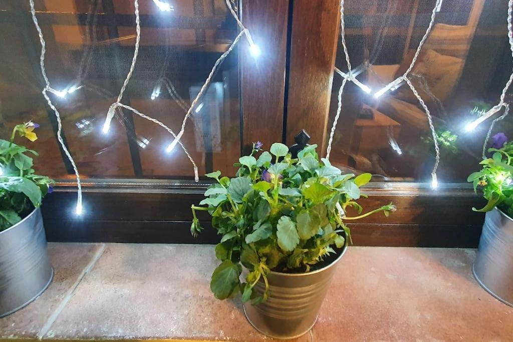 Apartamento Sefardi, Barrio Judio De 埃尔瓦 外观 照片